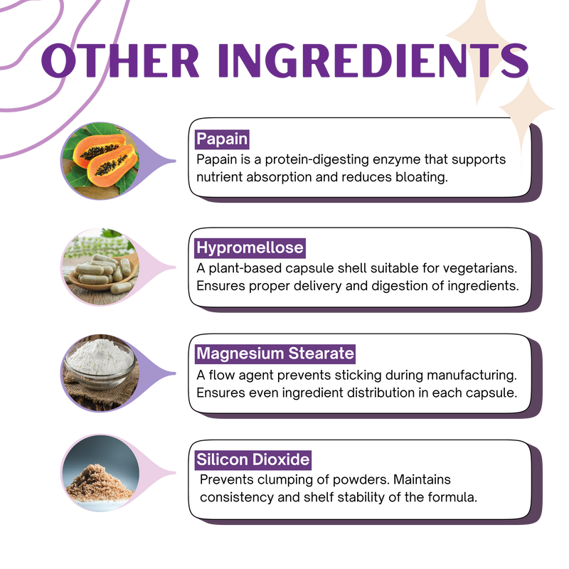 Light – Daily Wellness Blend